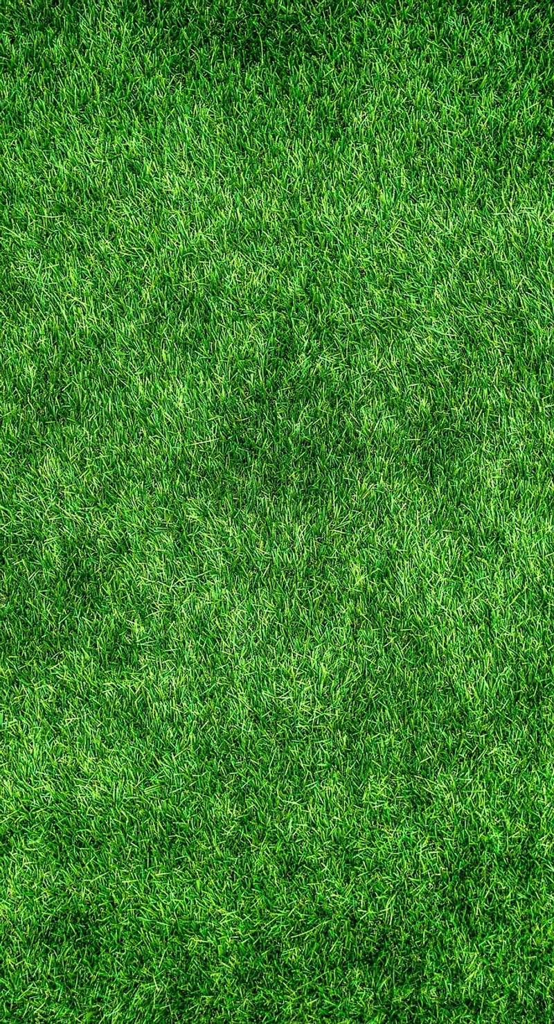 Sustainable Design